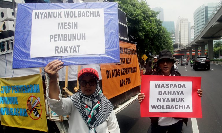 Enggan Belajar dari Sejarah: Penolakan Metode Wolbachia di Indonesia