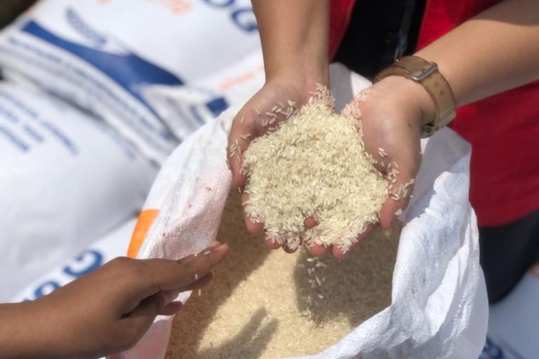 Ketika Pemerintah Indonesia Terlalu Obsesi Terhadap Beras