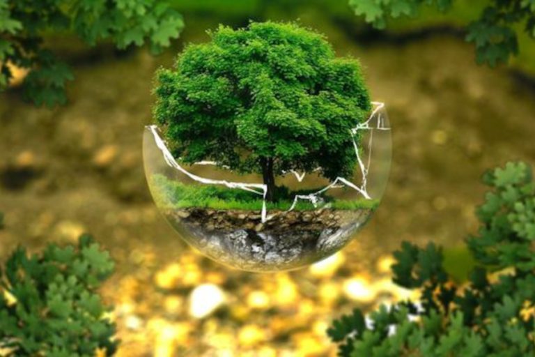 Pertobatan Ekologis, Sebuah Seruan untuk Kembali Menyayangi Alam